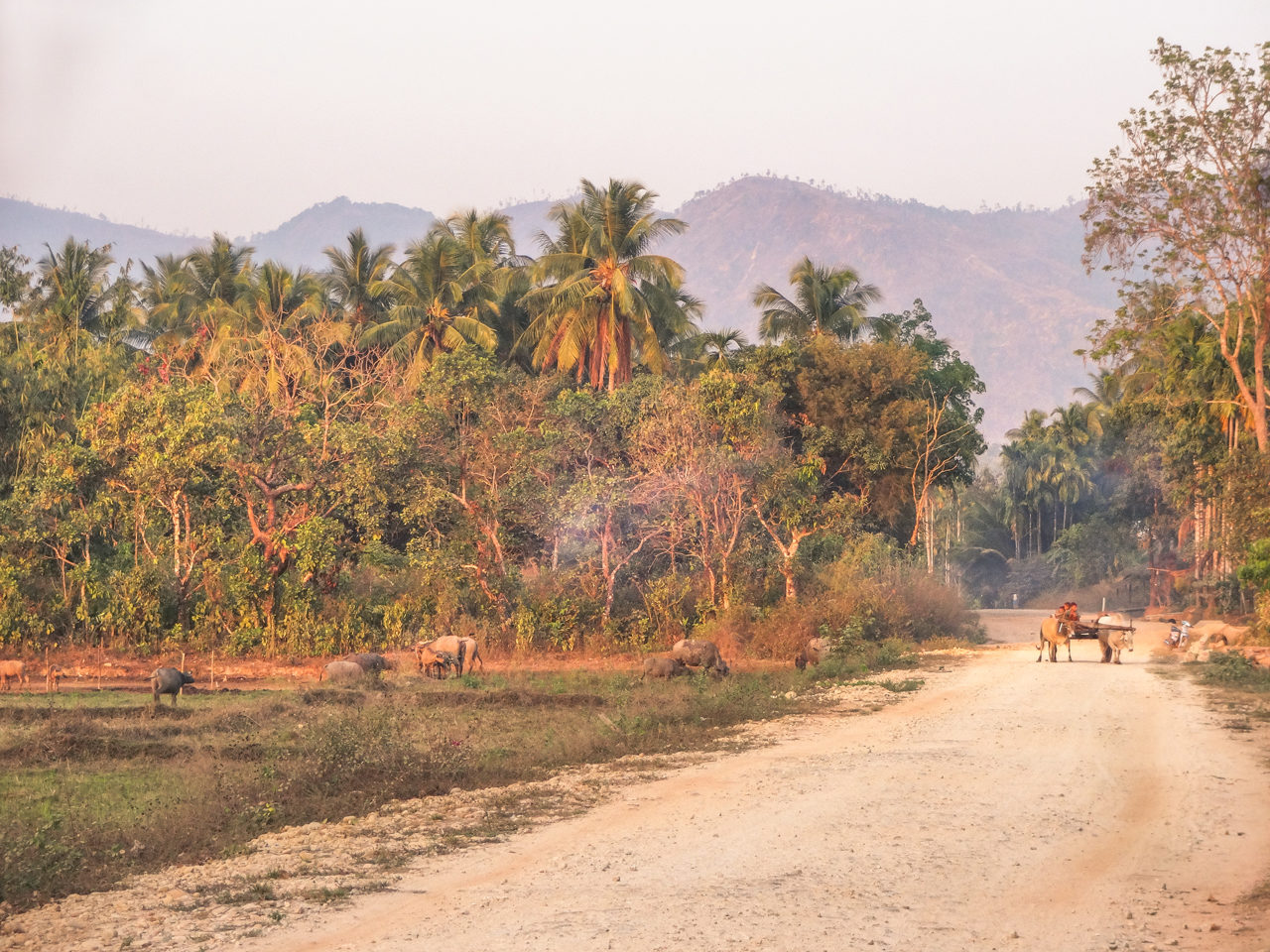 Dirt road in Myanmar