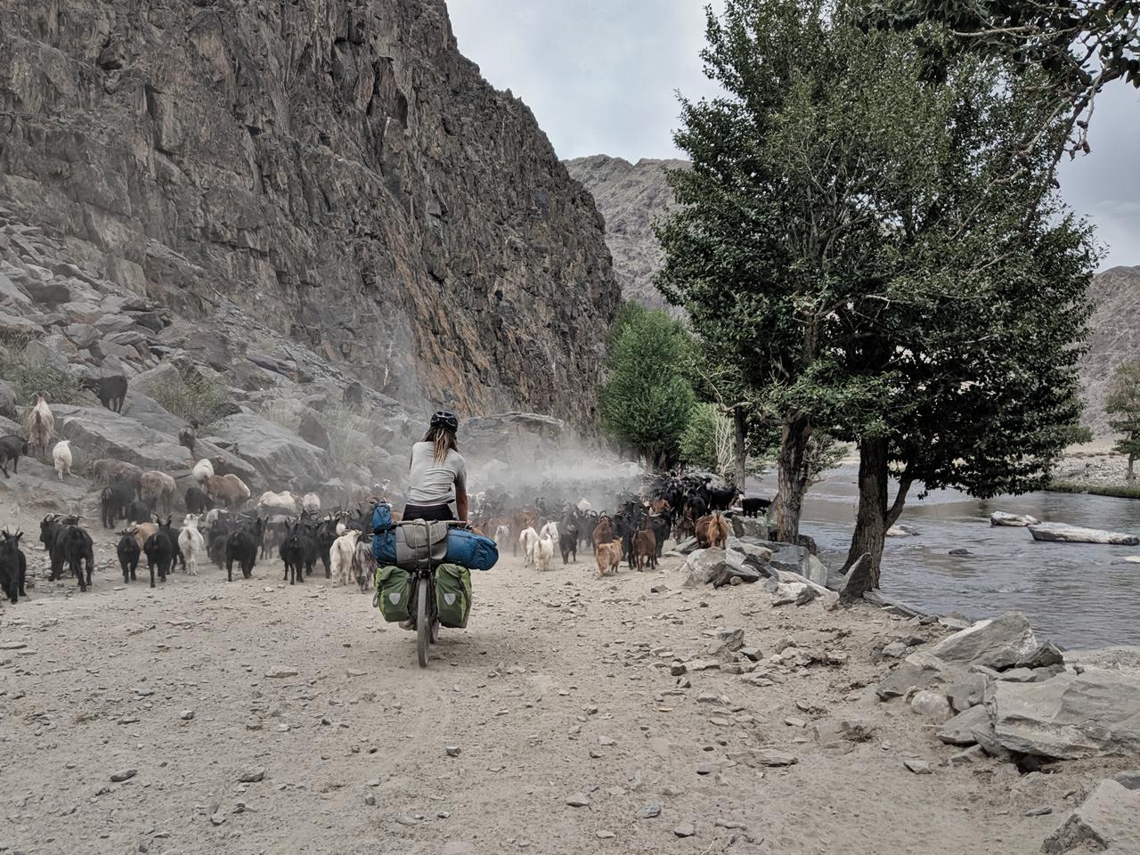 Staubige Zeiten in der Mongolei