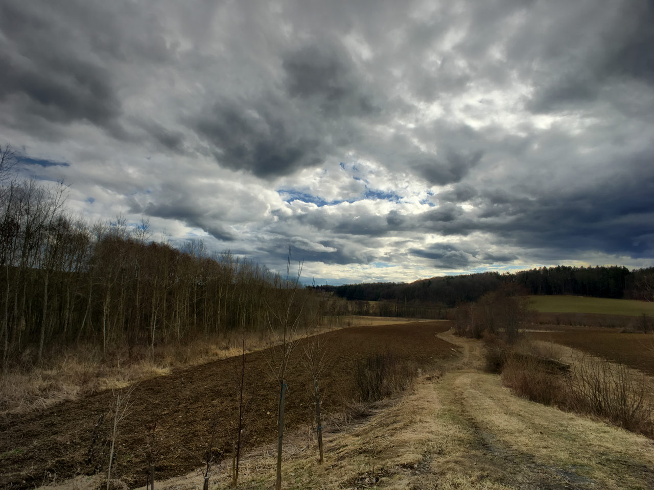 Menacing mood in Austria