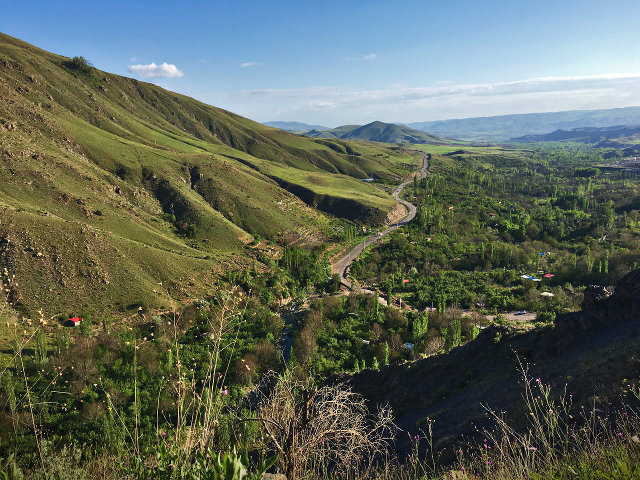 Grüner Iran