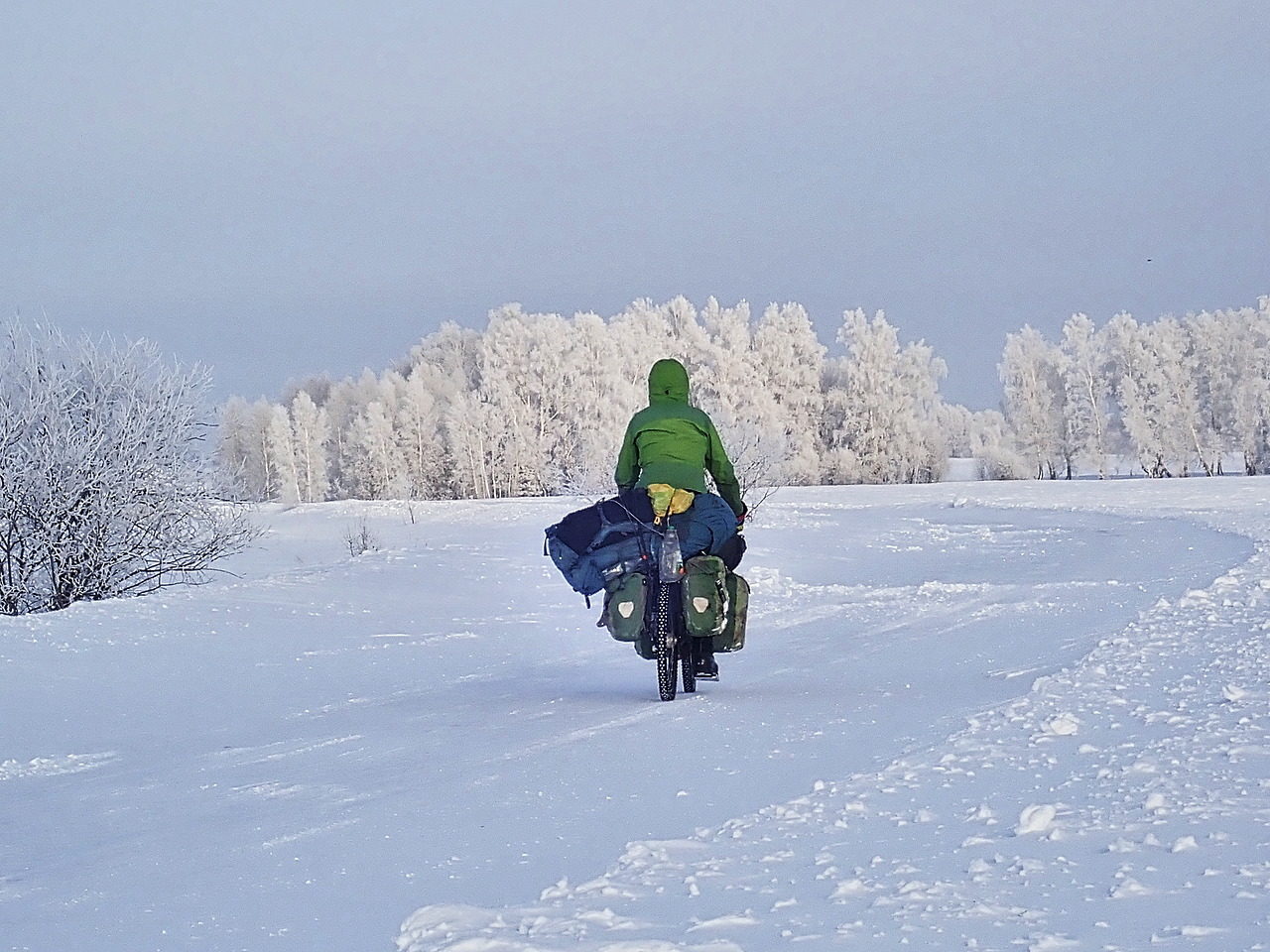 Sibirisches Winter Wonderland