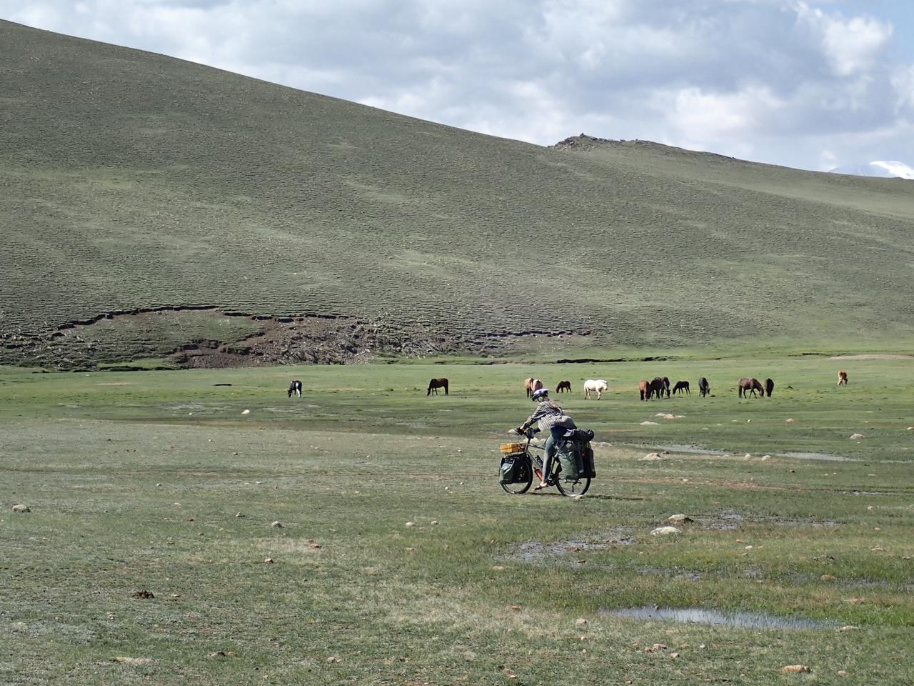 Querfeldein in der Mongolei